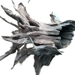 aquadeco Corbo-Stump L (40-50 cm) Letzte Chance